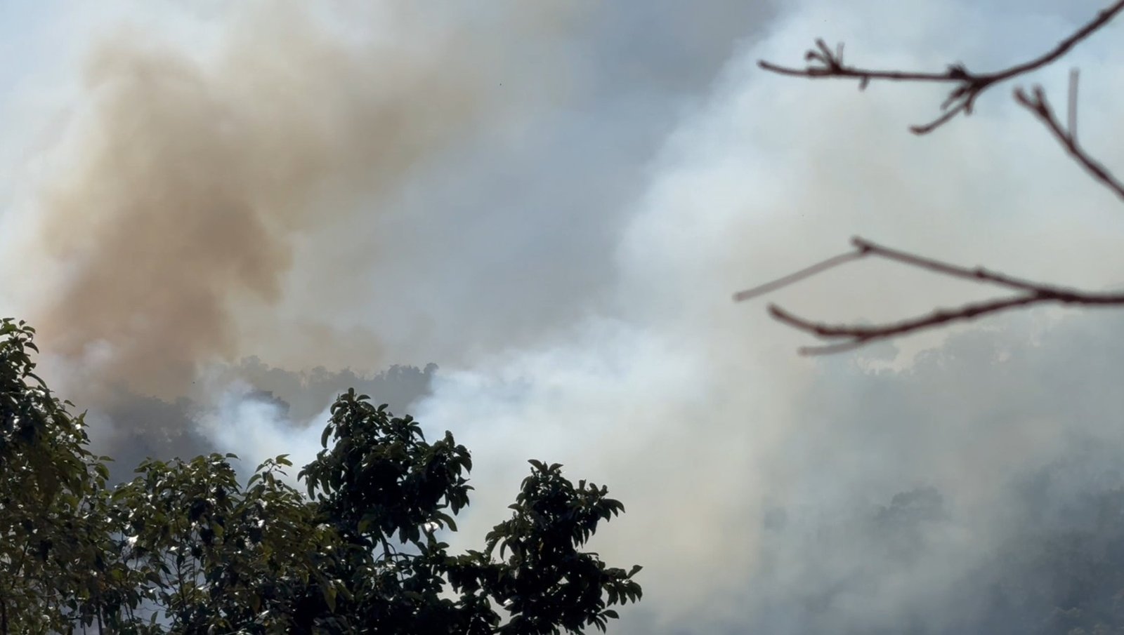 Ministério Público do RJ vai apurar condições de prevenção e combate a incêndios florestais em Petrópolis